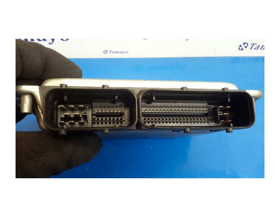 Recambio de centralita motor uce para volkswagen polo (9n1) 1.9 tdi referencia OEM IAM 0281011075 EDC15P+ 038906019JK