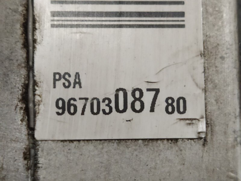 Recambio de bomba direccion para citroën c4 berlina 1.6 16v hdi referencia OEM IAM 9670308780  
