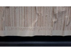 Recambio de elevalunas delantero derecho para ford fiesta (cbk) 1.4 tdci cat referencia OEM IAM    2