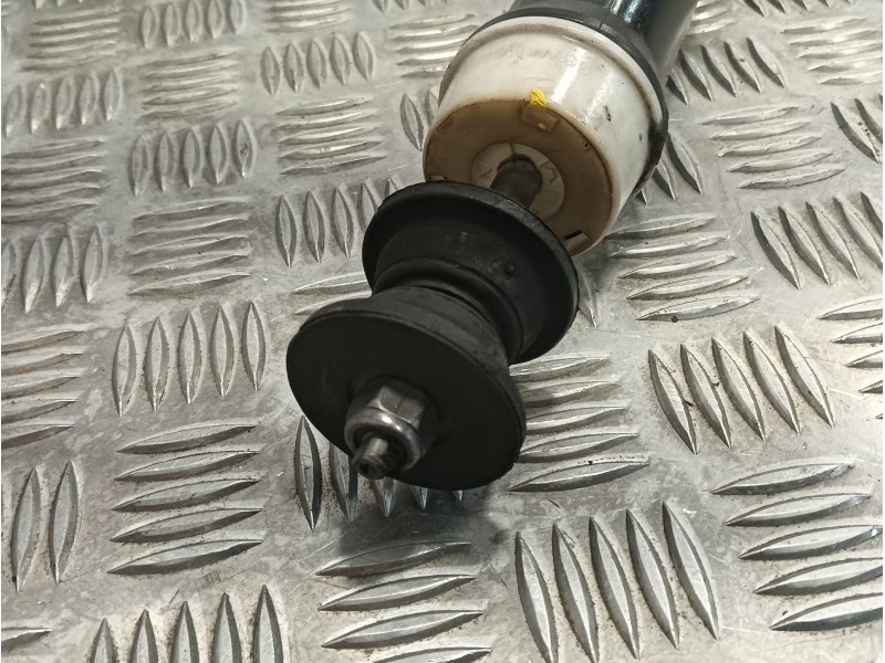 Recambio de amortiguador trasero derecho para renault clio v 1.0 tce referencia OEM IAM 562103002R  