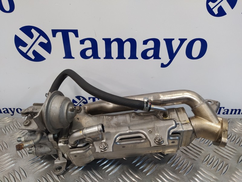 Recambio de enfriador egr para honda cr-v (re) 2.2 dtec cat referencia OEM IAM 18721RFWG0  