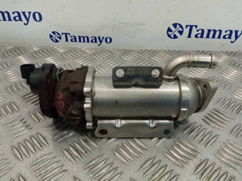 Recambio de enfriador egr para nissan primastar (x83) referencia OEM IAM 8200611709  