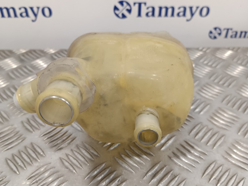 Recambio de deposito expansion para smart fortwo coupe 0.8 cdi referencia OEM IAM A4505010003  0005768V009