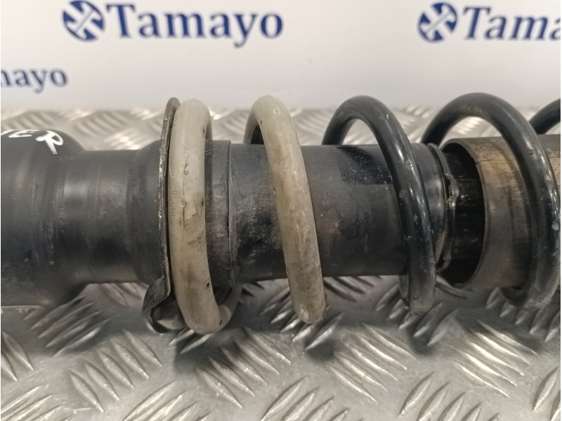 Recambio de amortiguador trasero izquierdo para subaru forester 2.0 diesel cat referencia OEM IAM 20365SG110  