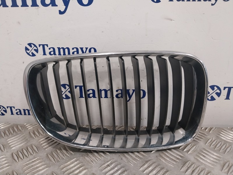 Recambio de rejilla paragolpes delantero para bmw serie 1 berlina (e81/e87) referencia OEM IAM   