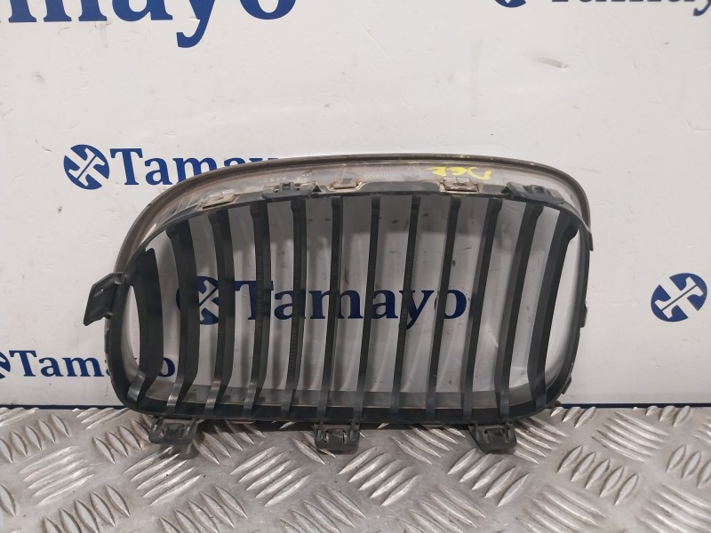 Recambio de rejilla paragolpes delantero para bmw serie 1 berlina (e81/e87) referencia OEM IAM   
