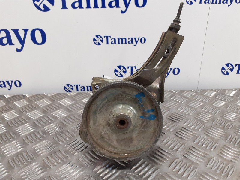 Recambio de bomba direccion para renault 19 hatchback (b/c53) 1.8 cat-u referencia OEM IAM   