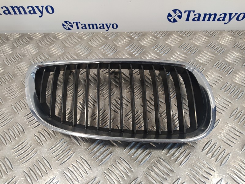 Recambio de rejilla delantera para bmw serie 3 cabrio (e93) referencia OEM IAM 22405910  