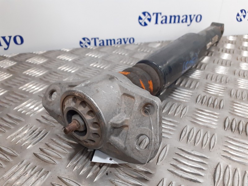 Recambio de amortiguador trasero derecho para volkswagen passat variant (3c5) 2.0 tdi referencia OEM IAM 3C0512011CP  