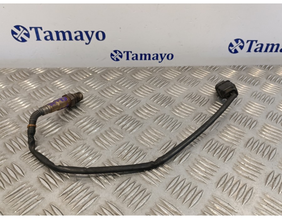 Recambio de sonda lambda para audi q7 (4l) 3.0 v6 24v tdi referencia OEM IAM 059906262 1928404687 0281004036