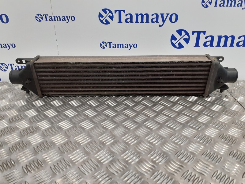 Recambio de intercooler para fiat bravo (198) 1.9 8v jtd cat referencia OEM IAM 866455500  