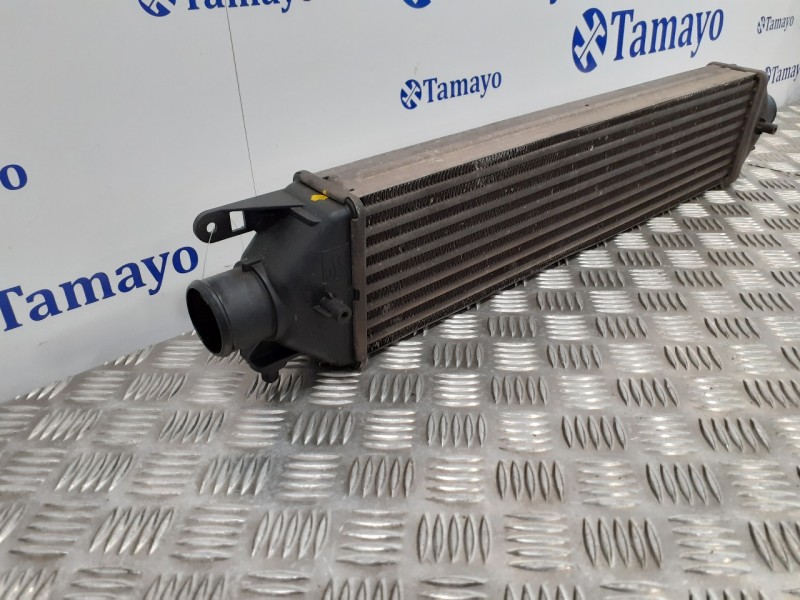 Recambio de intercooler para fiat bravo (198) 1.9 8v jtd cat referencia OEM IAM 866455500  
