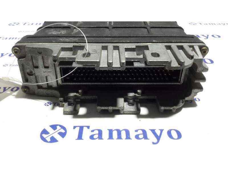 Recambio de centralita motor uce para volkswagen golf iii berlina (1h1) 1.6 referencia OEM IAM 5WP4206  037906025J