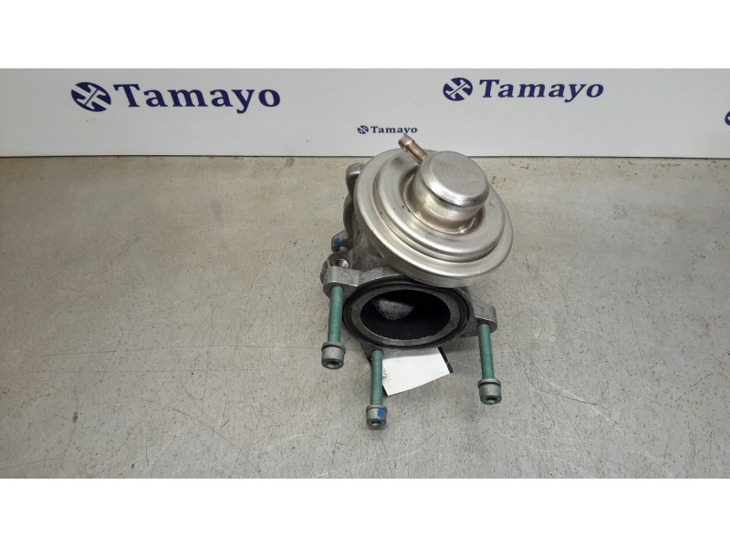 Recambio de valvula egr para seat ibiza (6l1) 1.4 tdi cat (bnm) referencia OEM IAM 045131501F  045129637A