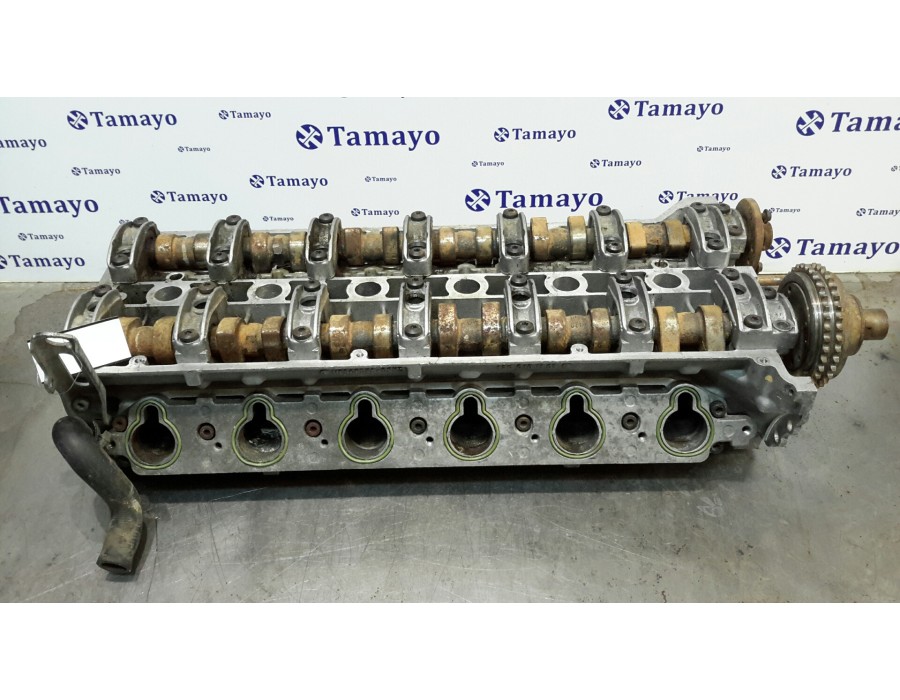 Recambio de culata para mercedes-benz clase s (w140) berlina 6.0 v12 48v cat referencia OEM IAM 1200161101  