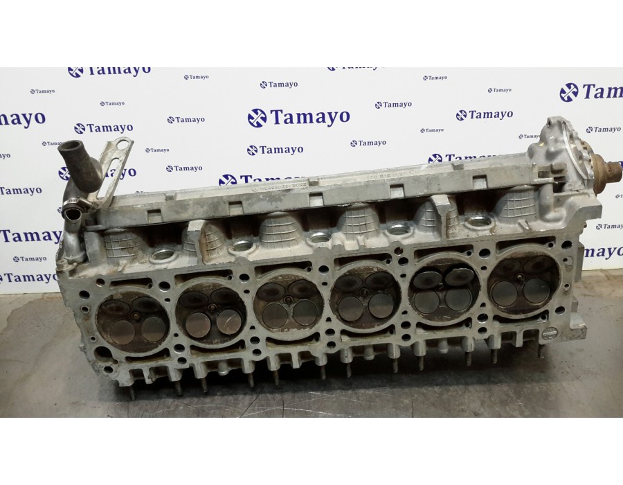 Recambio de culata para mercedes-benz clase s (w140) berlina 6.0 v12 48v cat referencia OEM IAM 1200161101  