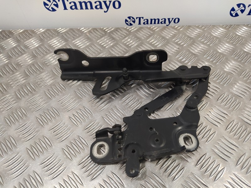 Recambio de visagra capo para bmw serie 1 lim. (f20/f21) 2.0 16v turbodiesel referencia OEM IAM 13989610  