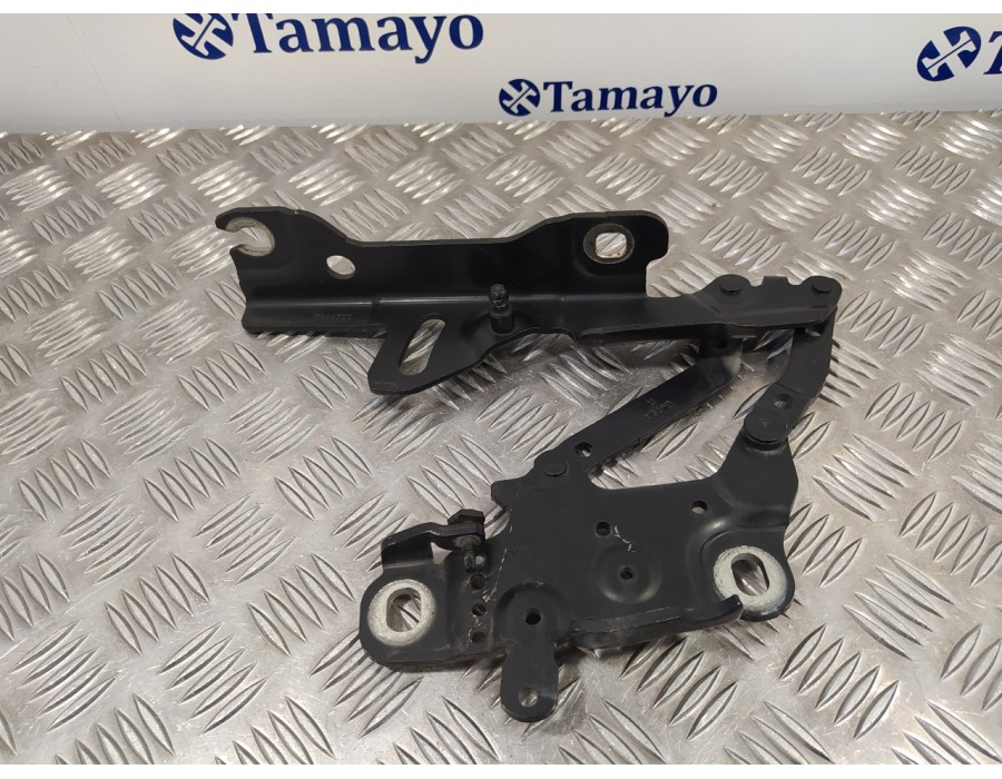 Recambio de visagra capo para bmw serie 1 lim. (f20/f21) 2.0 16v turbodiesel referencia OEM IAM 13989610  