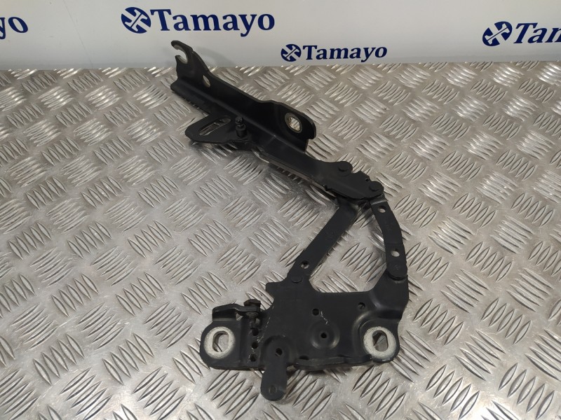 Recambio de visagra capo para bmw serie 1 lim. (f20/f21) 2.0 16v turbodiesel referencia OEM IAM 13989610  
