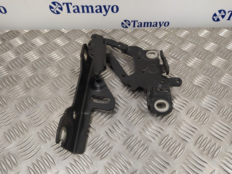 Recambio de visagra capo para bmw serie 1 lim. (f20/f21) 2.0 16v turbodiesel referencia OEM IAM 13989610  