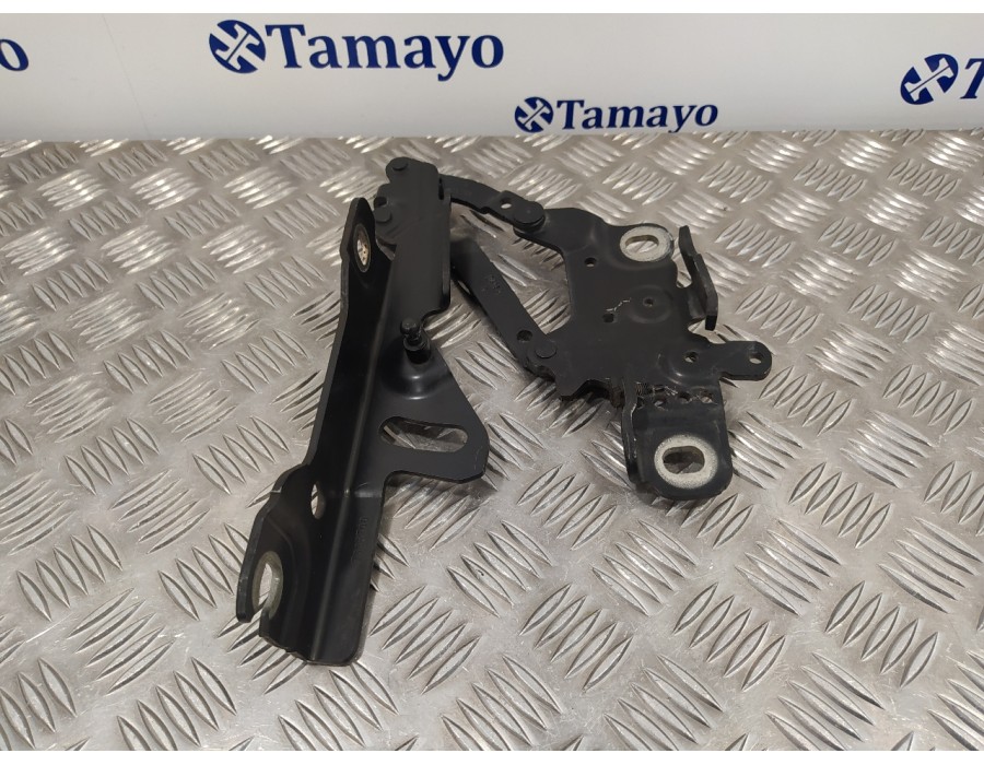 Recambio de visagra capo para bmw serie 1 lim. (f20/f21) 2.0 16v turbodiesel referencia OEM IAM 13989610  