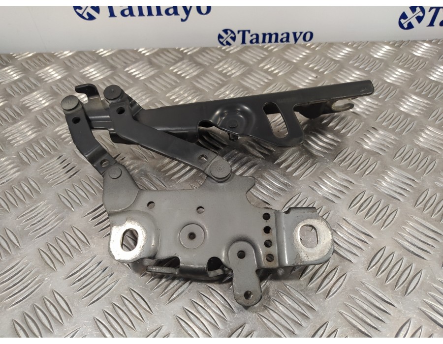 Recambio de visagra capo para bmw serie 1 lim. (f20/f21) 2.0 16v turbodiesel referencia OEM IAM 13989610  
