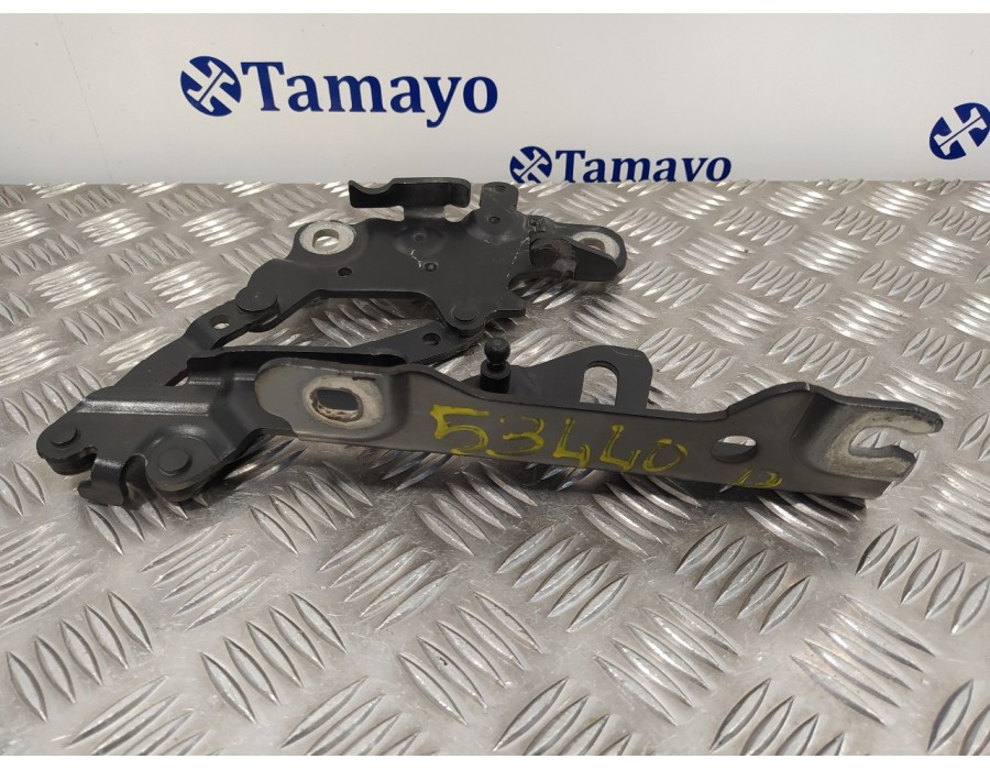 Recambio de visagra capo para bmw serie 1 lim. (f20/f21) 2.0 16v turbodiesel referencia OEM IAM 13989610  