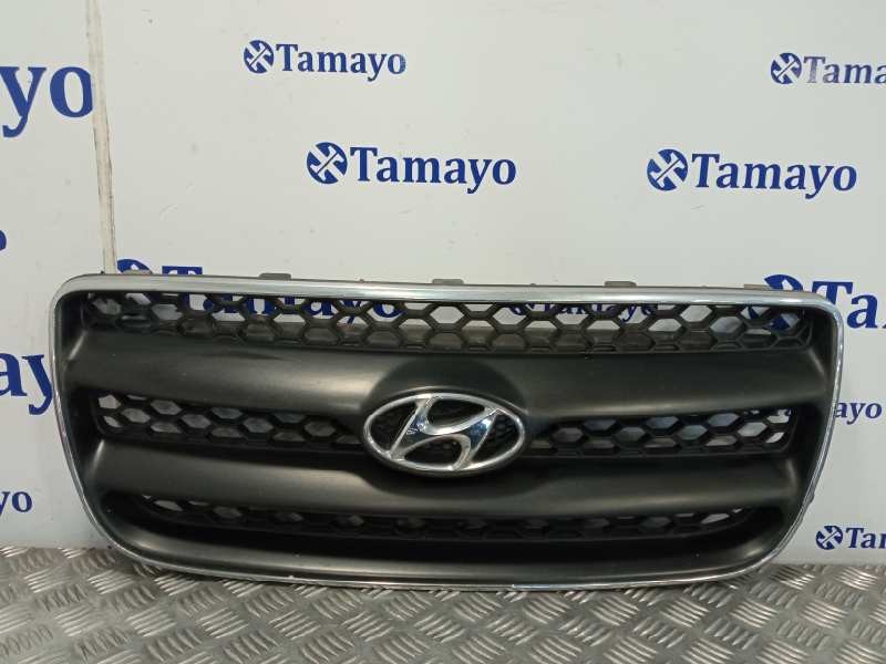 Recambio de rejilla delantera para hyundai santa fe (bm) referencia OEM IAM E865612B000  