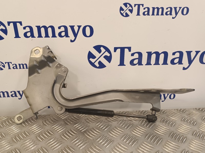 Recambio de visagra capo para renault scenic iii 1.5 dci diesel fap referencia OEM IAM 654010004R  654700008R