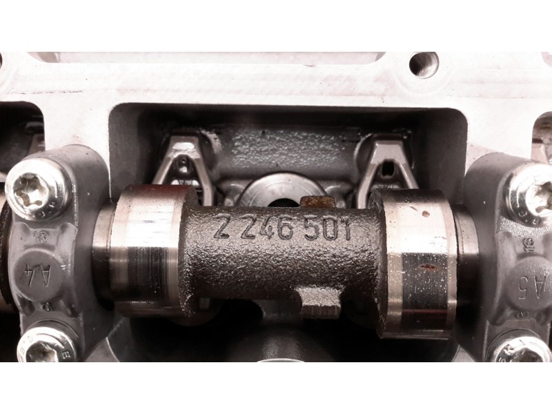 Recambio de culata para bmw serie 3 berlina (e46) 2.0 16v diesel cat referencia OEM IAM 22466019  