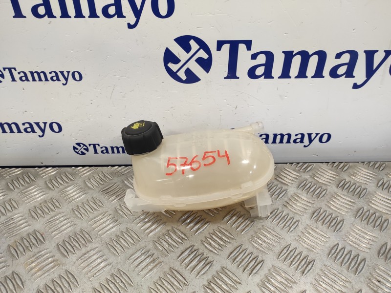 Recambio de deposito expansion para renault clio v 1.0 tce referencia OEM IAM 217102572R  217102572RB
