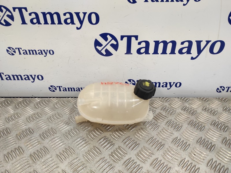Recambio de deposito expansion para renault clio v 1.0 tce referencia OEM IAM 217102572R  217102572RB