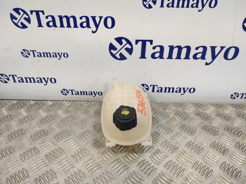 Recambio de deposito expansion para renault clio v 1.0 tce referencia OEM IAM 217102572R  217102572RB