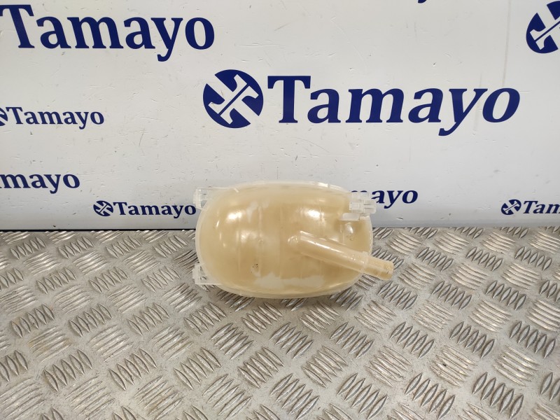 Recambio de deposito expansion para renault clio v 1.0 tce referencia OEM IAM 217102572R  217102572RB