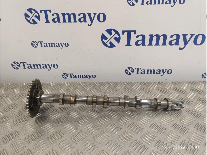Recambio de arbol de levas para peugeot boxer furgón 2.2 hdi fap cat referencia OEM IAM BK2Q6A273AB  6C1Q6256AC