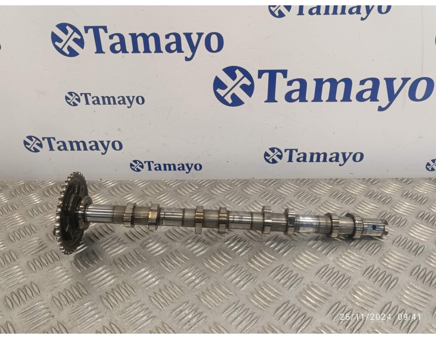 Recambio de arbol de levas para peugeot boxer furgón 2.2 hdi fap cat referencia OEM IAM BK2Q6A273AB  6C1Q6256AC