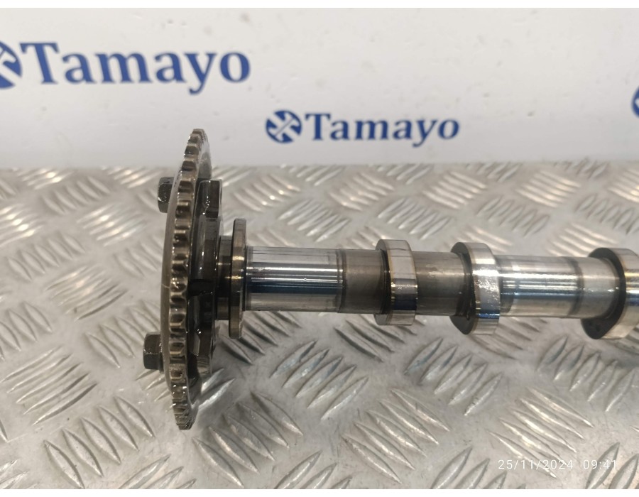 Recambio de arbol de levas para peugeot boxer furgón 2.2 hdi fap cat referencia OEM IAM BK2Q6A273AB  6C1Q6256AC