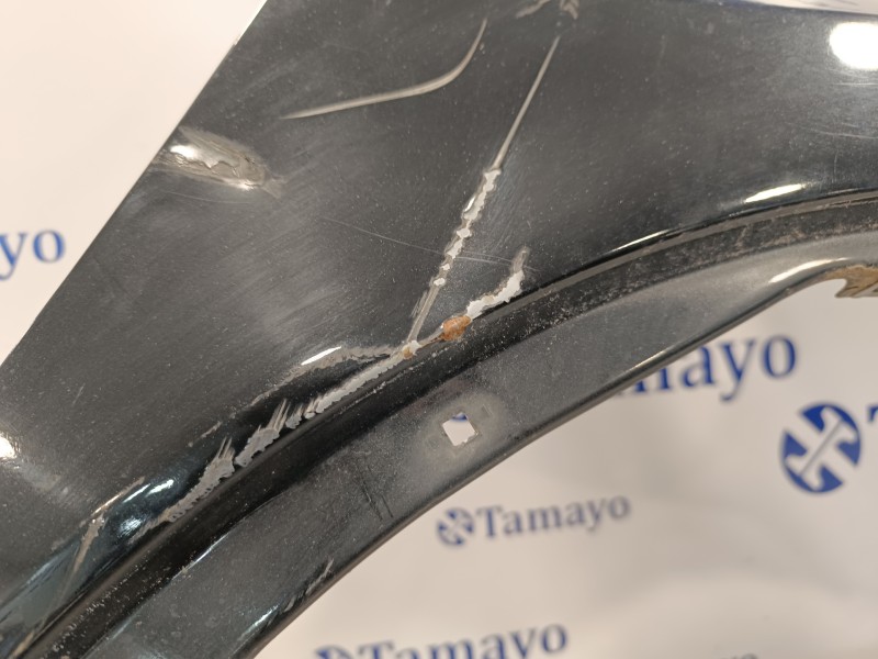 Recambio de aleta delantera derecha para honda civic berlina 5 (fk) 2.2 ctdi referencia OEM IAM   