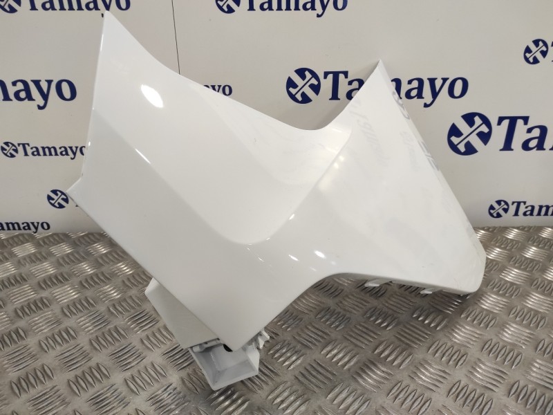 Recambio de puntera paragolpes trasera derecha para ford transit connect referencia OEM IAM   