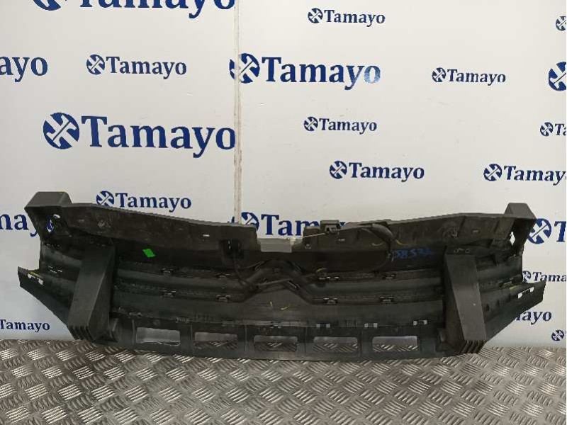 Recambio de rejilla delantera para citroën c3 referencia OEM IAM 9812063477  