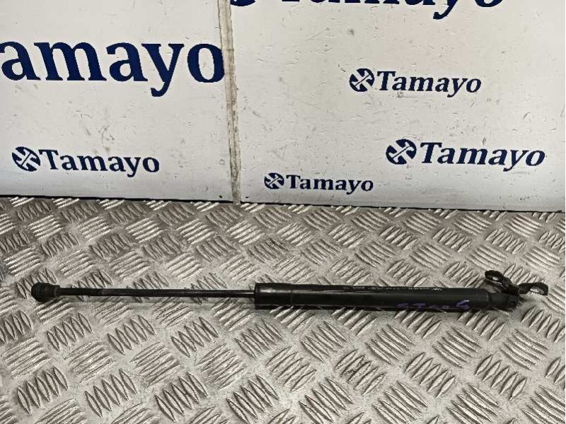 Recambio de amortiguadores maletero / porton para renault captur referencia OEM IAM 844301324R  