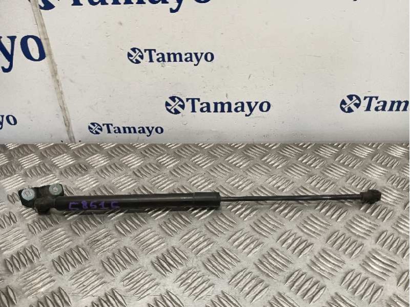 Recambio de amortiguadores maletero / porton para renault captur referencia OEM IAM 844301324R  