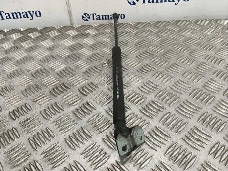Recambio de amortiguadores maletero / porton para renault captur referencia OEM IAM 844301324R  