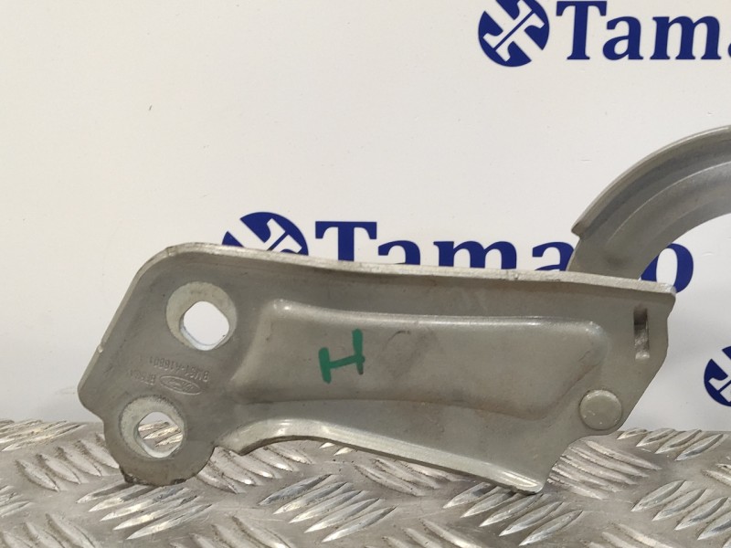 Recambio de visagra capo para ford focus lim. (cb8) 1.6 tdci cat referencia OEM IAM BM51A16801AD  