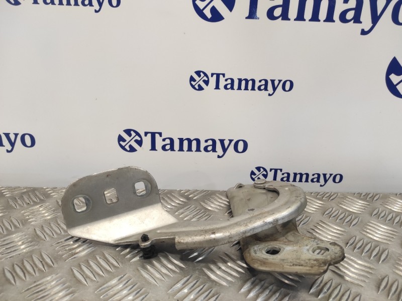Recambio de visagra capo para ford focus lim. (cb8) 1.6 tdci cat referencia OEM IAM BM51A16800AD  