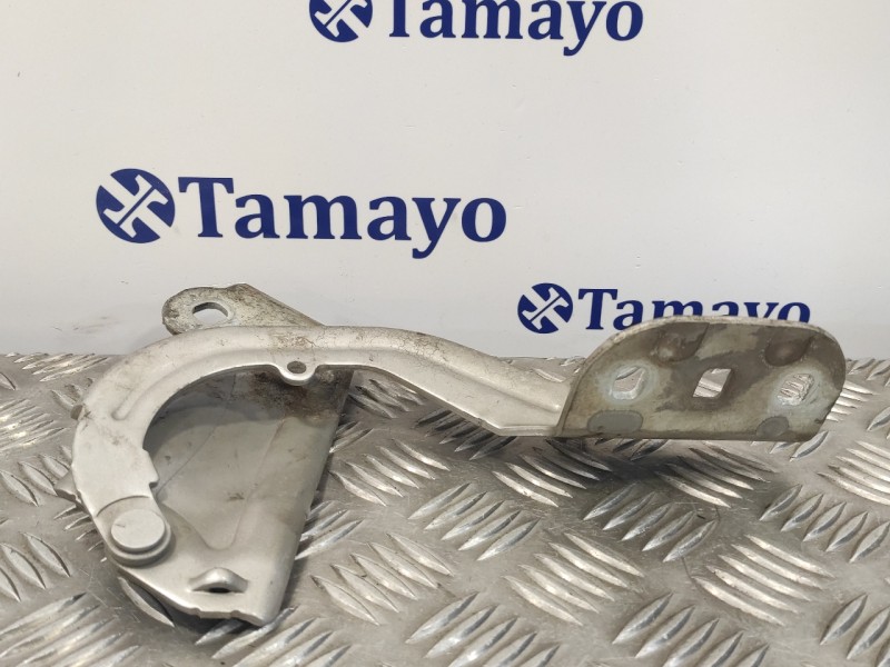 Recambio de visagra capo para ford focus lim. (cb8) 1.6 tdci cat referencia OEM IAM BM51A16800AD  