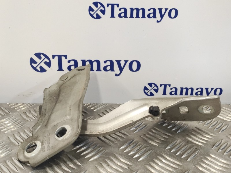 Recambio de visagra capo para ford focus lim. (cb8) 1.6 tdci cat referencia OEM IAM BM51A16800AD  