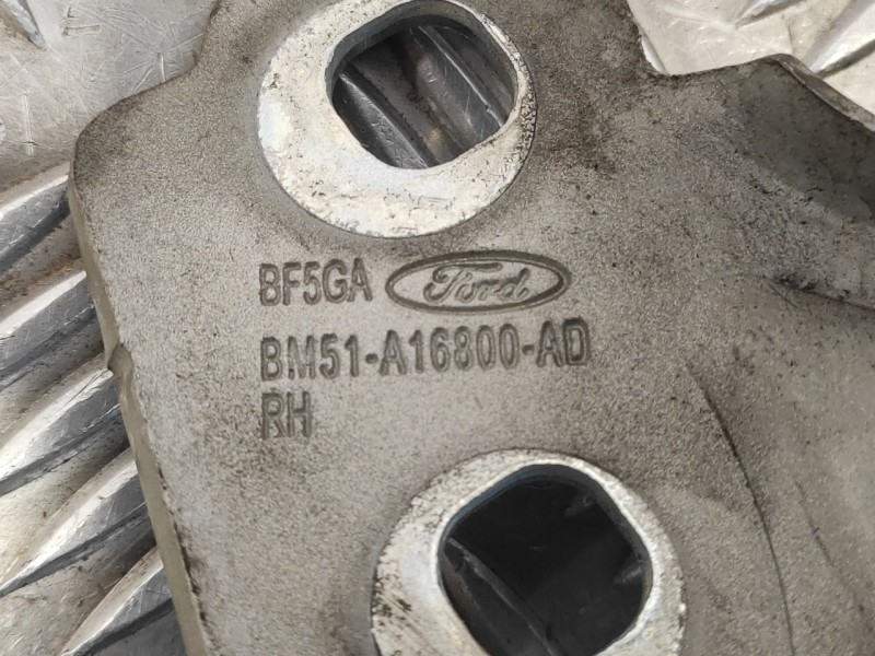 Recambio de visagra capo para ford focus lim. (cb8) 1.6 tdci cat referencia OEM IAM BM51A16800AD  