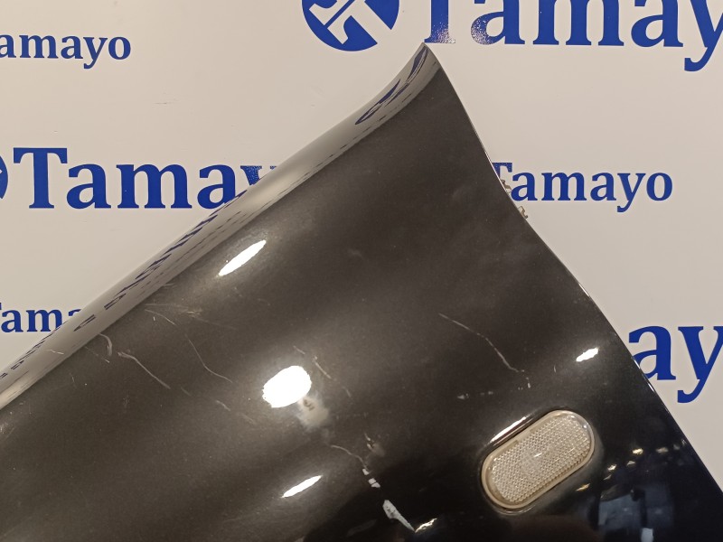 Recambio de aleta delantera izquierda para renault clio ii fase ii (b/cb0) 1.2 16v referencia OEM IAM   