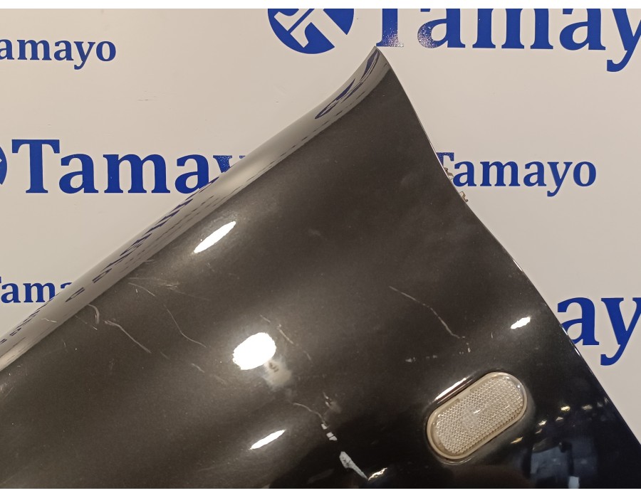 Recambio de aleta delantera izquierda para renault clio ii fase ii (b/cb0) 1.2 16v referencia OEM IAM   
